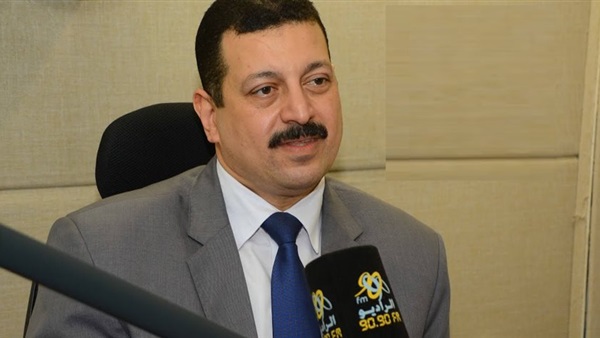 الدكتور أيمن حمزة المتحدث باسم وزارة الكهرباء