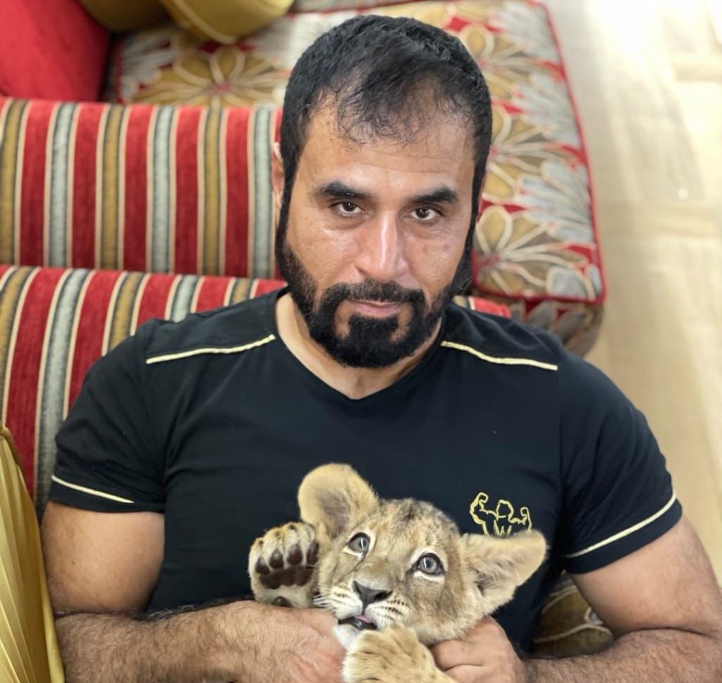 جاسم علي: هناك تزايد ملحوظ على تربية الحيوانات المفترسة 