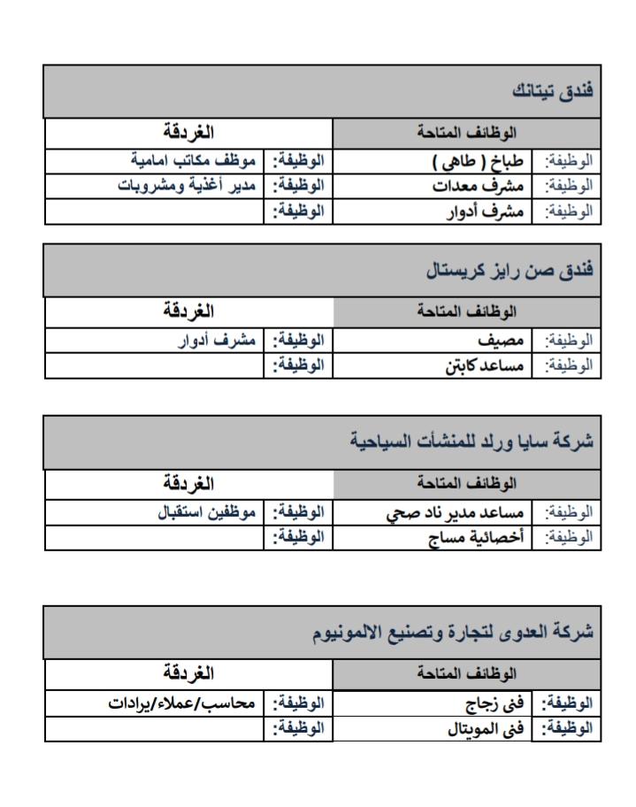 690 فرصة عمل بملتقى توظيف لشباب محافظة البحر الأحمر.. الثلاثاء