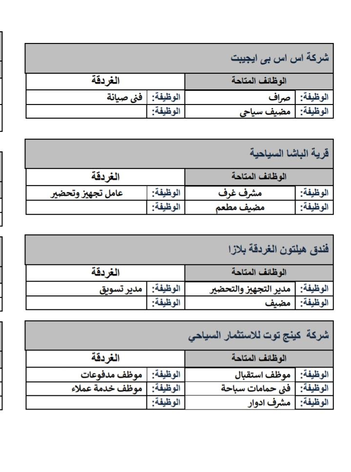 690 فرصة عمل بملتقى توظيف لشباب محافظة البحر الأحمر.. الثلاثاء