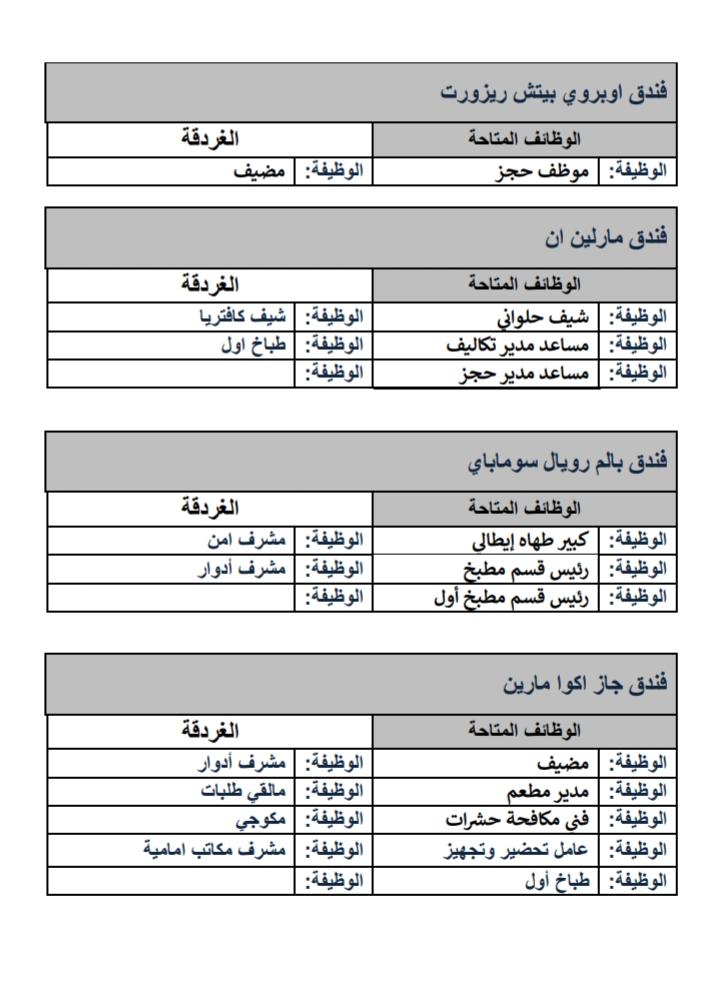 690 فرصة عمل بملتقى توظيف لشباب محافظة البحر الأحمر.. الثلاثاء