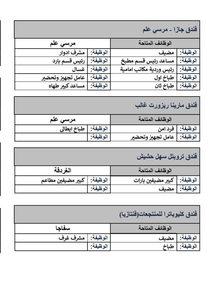 690 فرصة عمل بملتقى توظيف لشباب محافظة البحر الأحمر.. الثلاثاء
