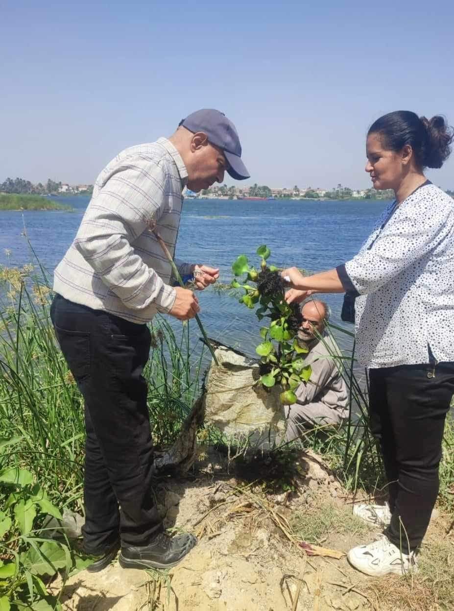 صحة المنيا: حملات مكثفة لمكافحة ناقلات ومسببات الأمراض المتوطنة