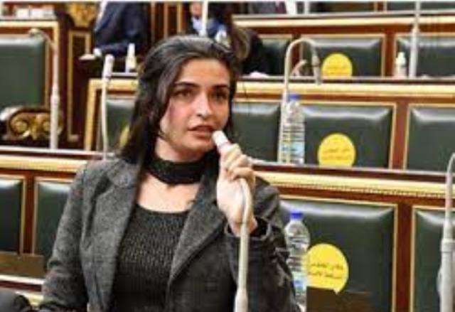 الدكتورة إيرين سعيد عضو مجلس النواب