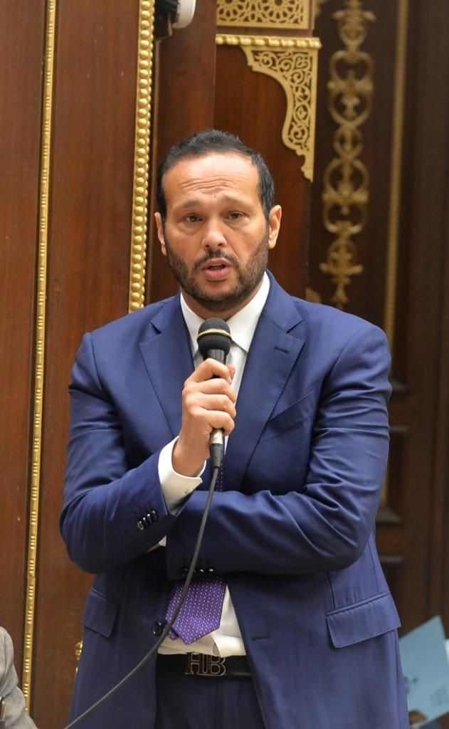 محمد حلاوة رئيس لجنة الصناعة بمجلس الشيوخ