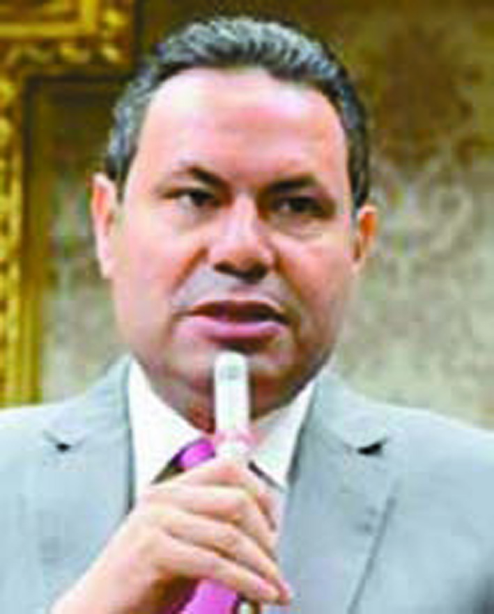 النائب هشام الحصري