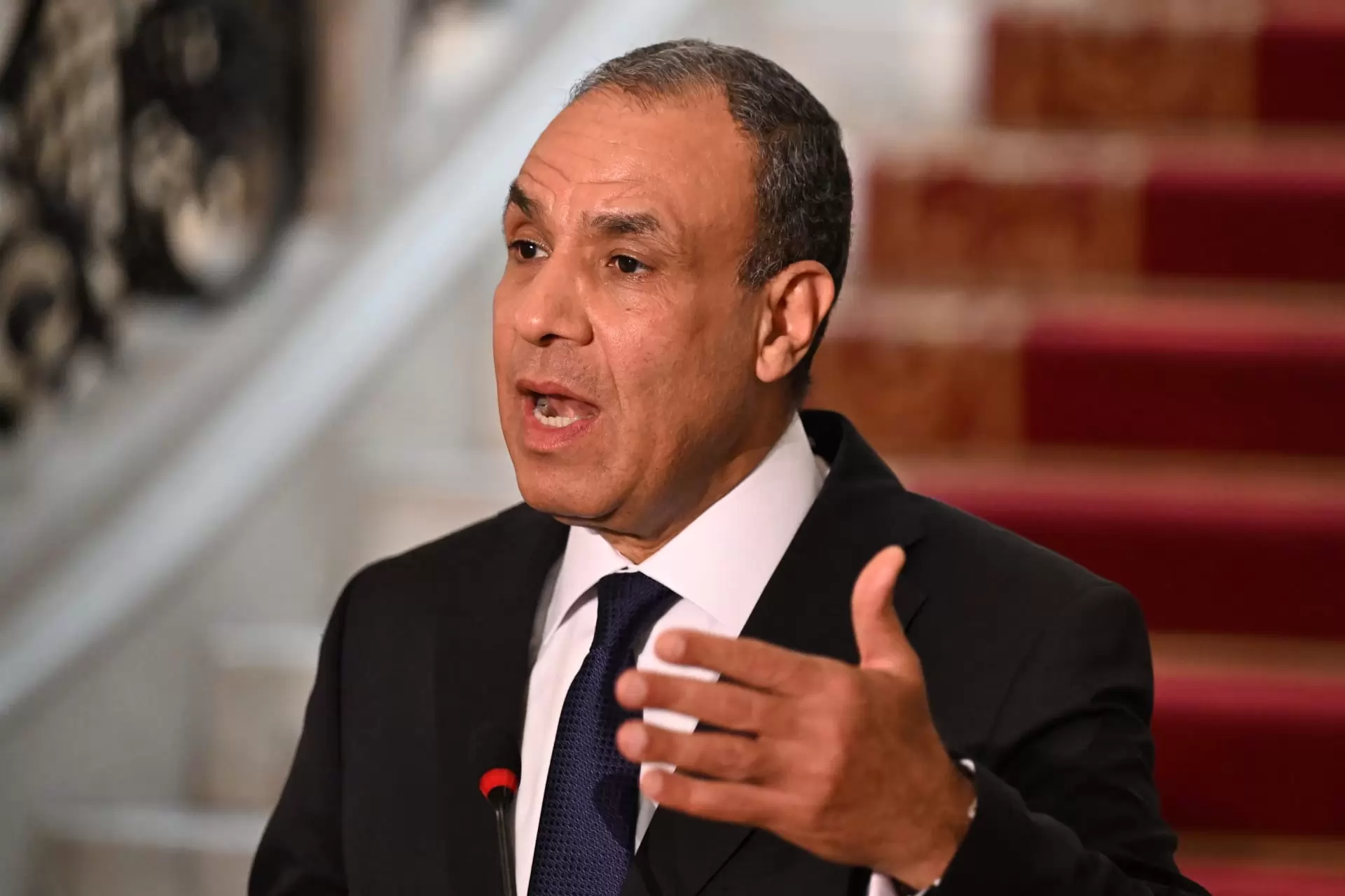 د. بدر عبد العاطي وزير الخارجية