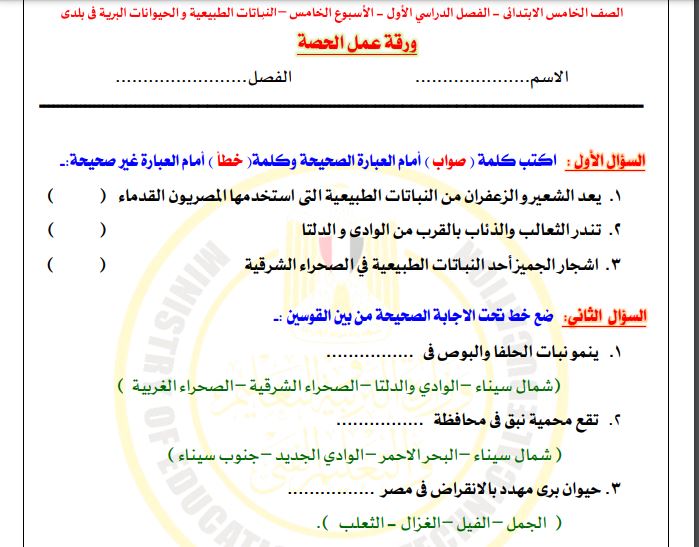 تقييم الدراسات الاسبوع الخامس خامسة ابتدائي