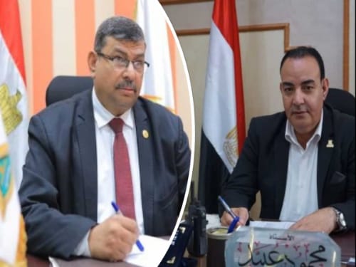 الدكتور ناصر الجيزاوي رئيس جامعة بنها