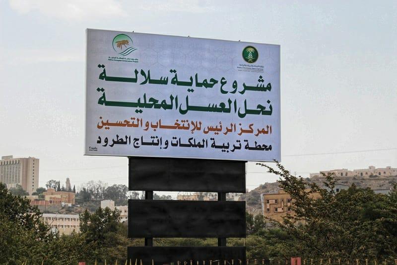 الغامدى : إنتاج 5 آلاف ملكة نحل وتوزيعها مجاناً على النحالين ضمن مشروع إكثار سلالة النحل البلدى السعودى
