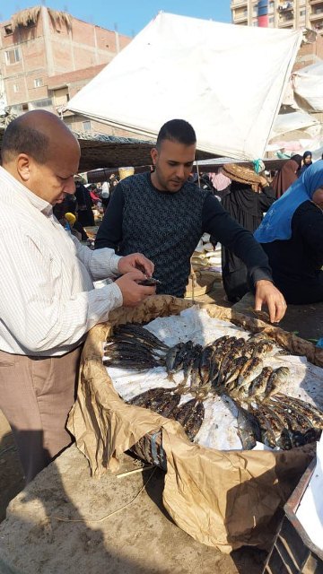 تشميع 7منشآت غذائية وإعدام 2طن أغذية فاسدة بالشرقية