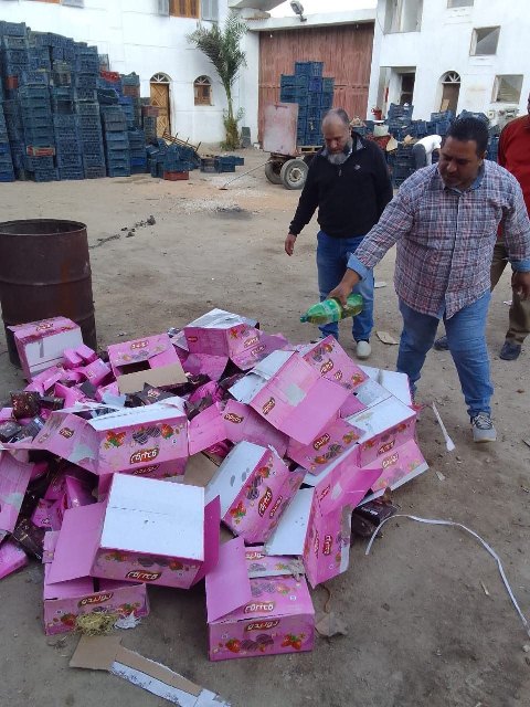 تشميع 7منشآت غذائية وإعدام 2طن أغذية فاسدة بالشرقية