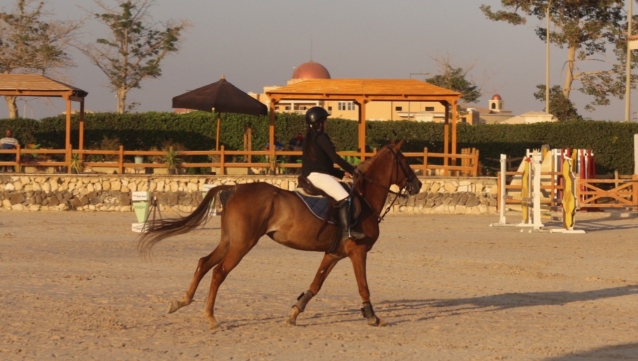 انطلاق الحلقة الرابعة من بطولة الجمهورية للفروسية ببيجاسوس باكتوبر