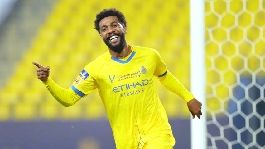 سامي النجعى