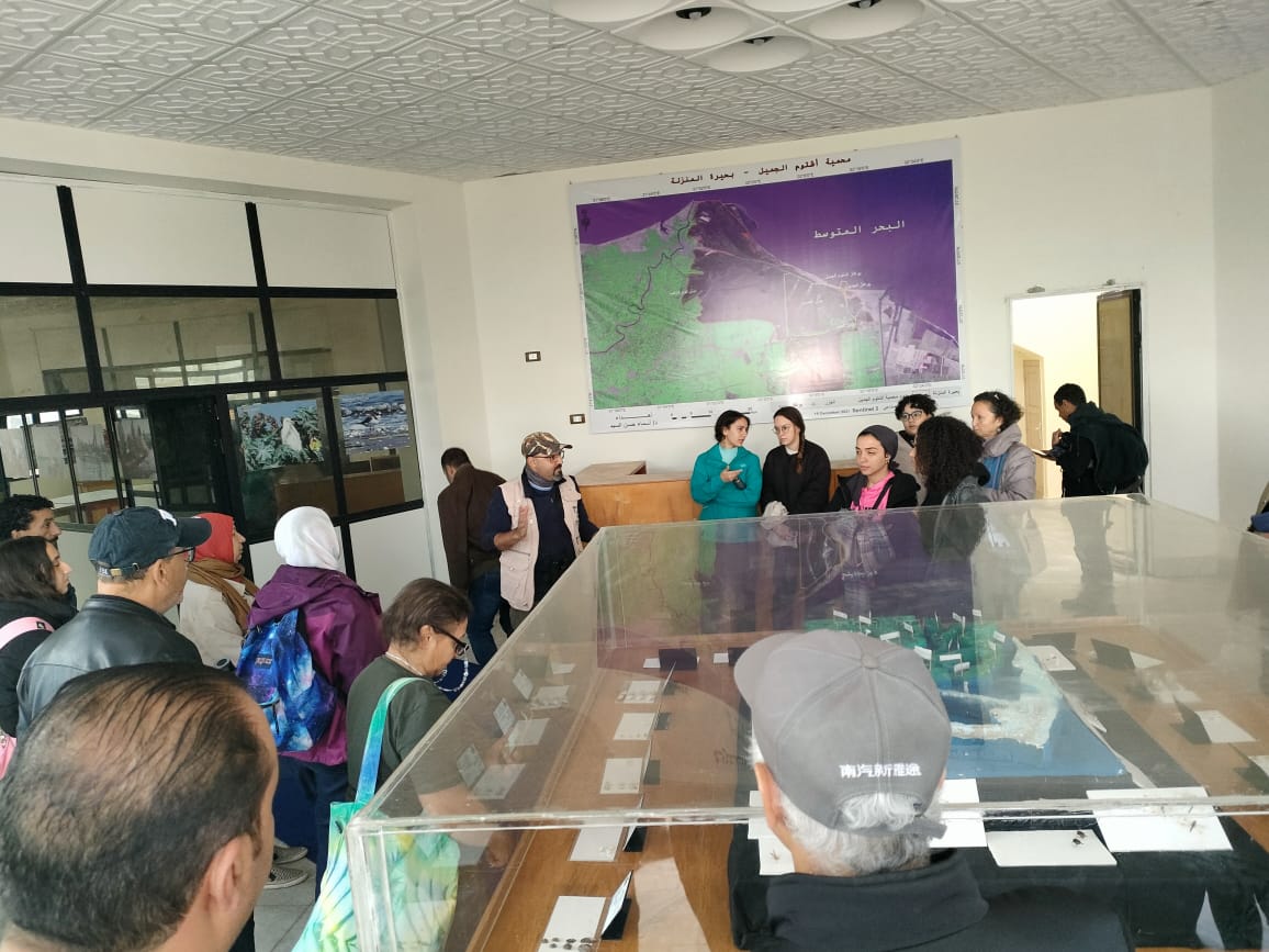 وزارة البيئة تشارك بمهرجان  بورسعيد الدولي لمراقبة وتصوير الطيور