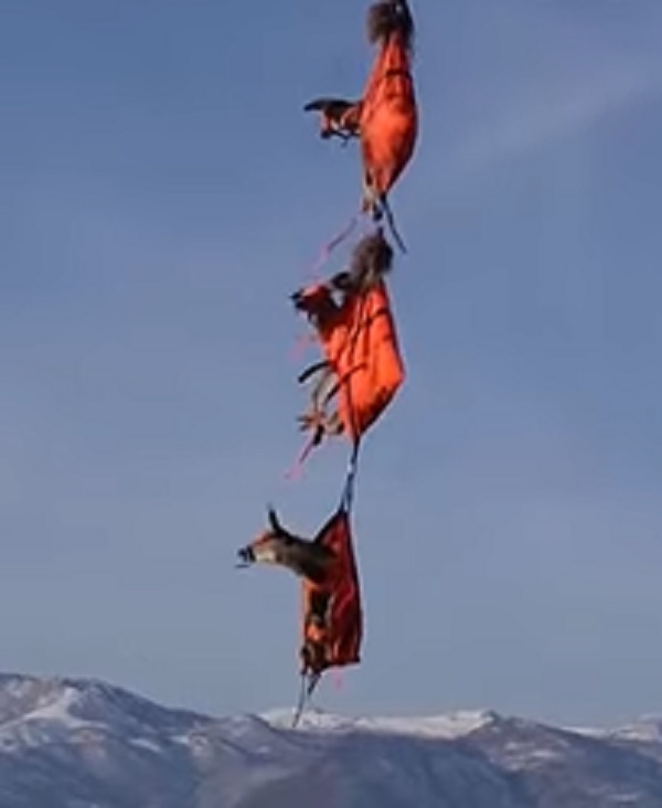 لقطة من الفيديو