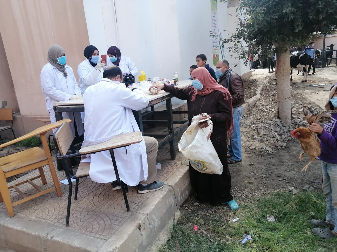 جامعة بنها تنظم قافلة بيطرية لقرية مشتهر بطوخ