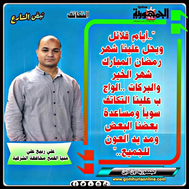 علي ربيع علي