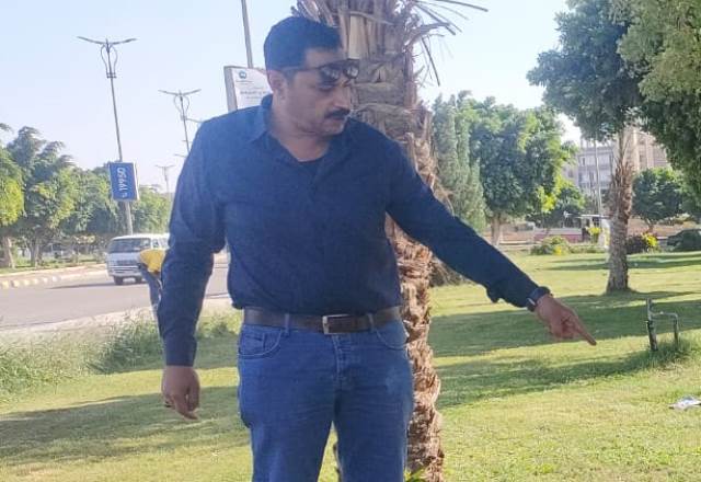 رئيس جهاز بدر يعلن عن أحدث عمليات زراعة النخل فى المدينة.. بالصور