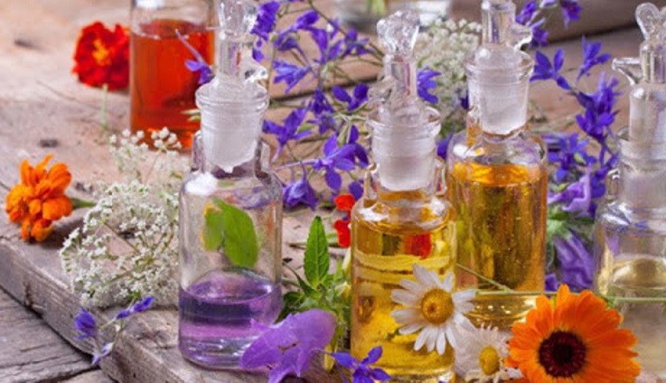 علاج التشنجات العضليه بالاعشاب 