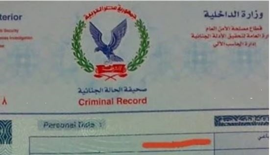 فيش وتشبيه