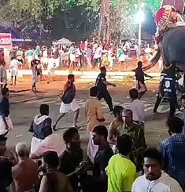 صراع الأفيال انتهي بكارثة | فيديو