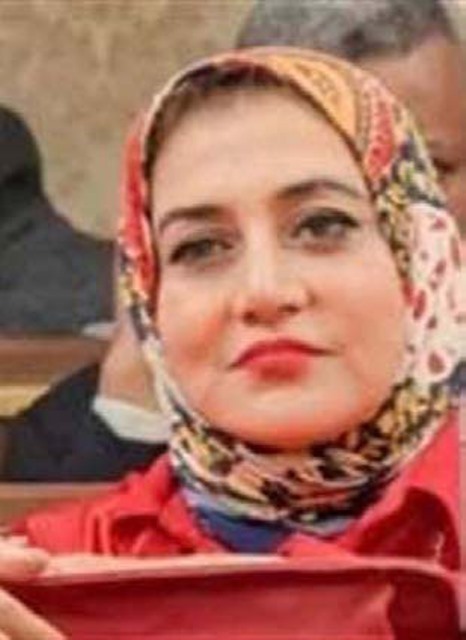 النائبة الدكتورة حنان عبده عمار