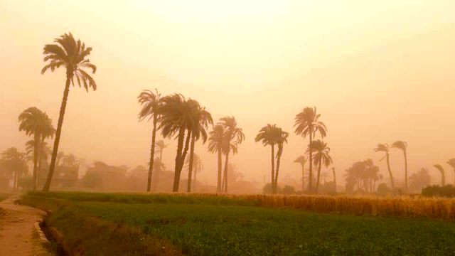 محافظ أسيوط: انعقاد غرفة الأزمات والكوارث المركزية لمتابعة حالة الطقس.. بالصور