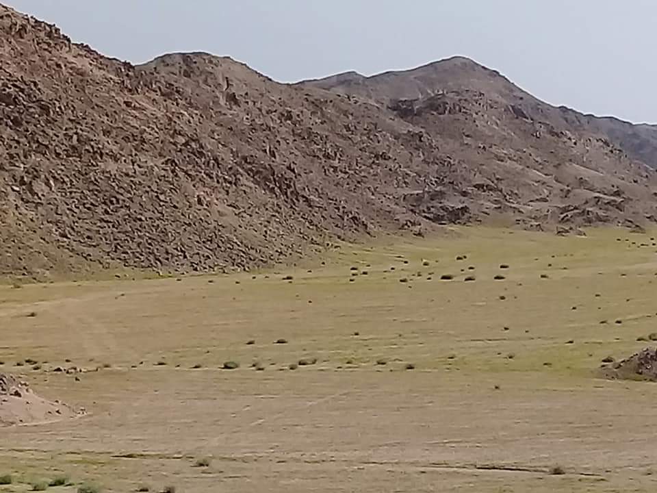 تعرف على  وادى الجمال أهم المزارات السياحية الطبيعية  الخلابة جنوب البحرالأحمر  صور 
