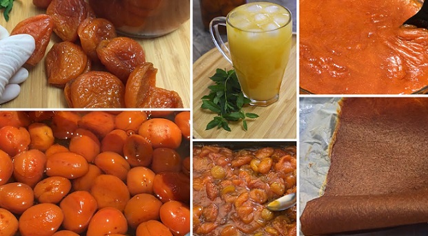 6 طرق لتخزين المشمش 