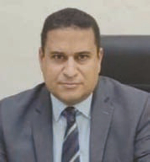 المستشار محمد حسام حمزة