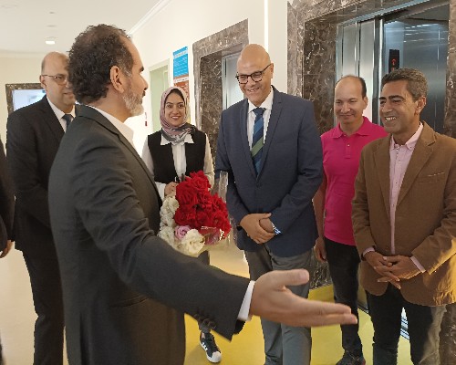 المهندس أيمن عطية 