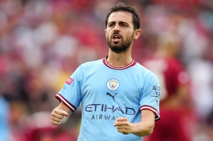 برناردو سيلفا 