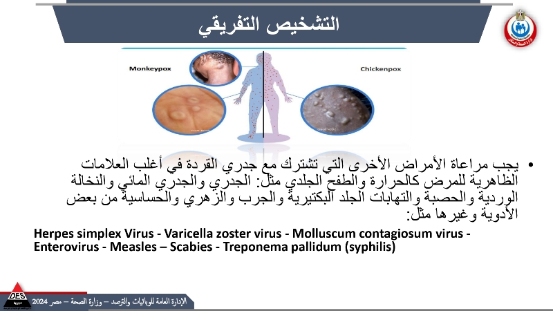 First slide
