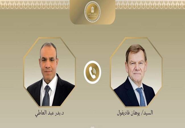 وزيرا الخارجية المصري والألماني