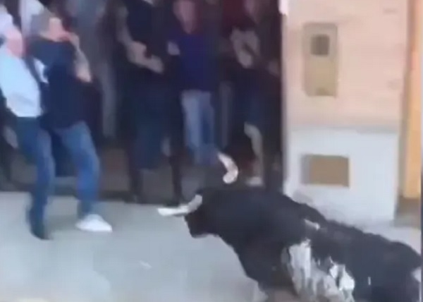 صورة من فيديو الواقعة