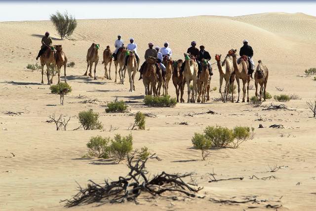 لجنة إدارة المهرجانات بأبوظبي تسلط الضوء على التراث الإماراتى.. بالصور
