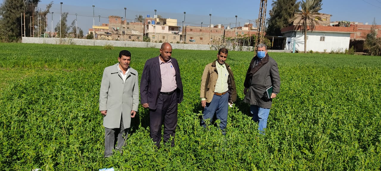 الزراعة : المركزية لمكافحة الافات  تكثف المرور على الزراعات الشتوية  