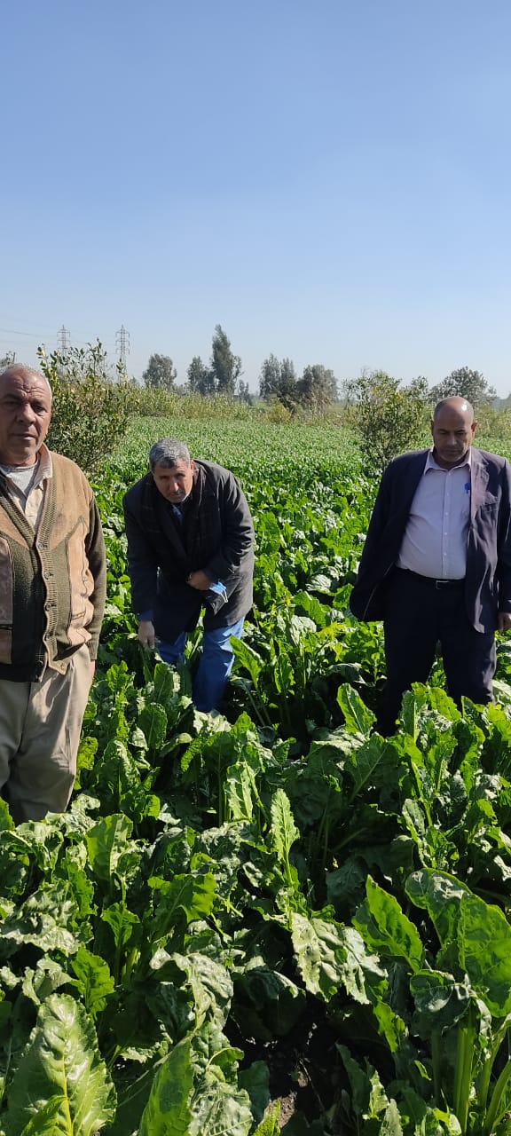 الزراعة : المركزية لمكافحة الافات  تكثف المرور على الزراعات الشتوية  