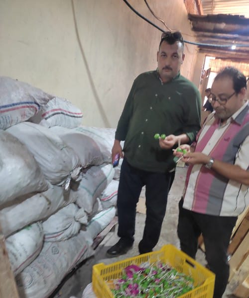 مديرية الصحة بالقليوبية   