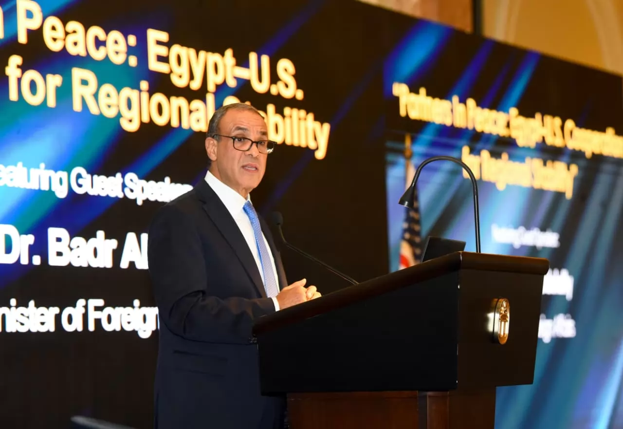 د. بدر عبد العاطي وزير الخارجية