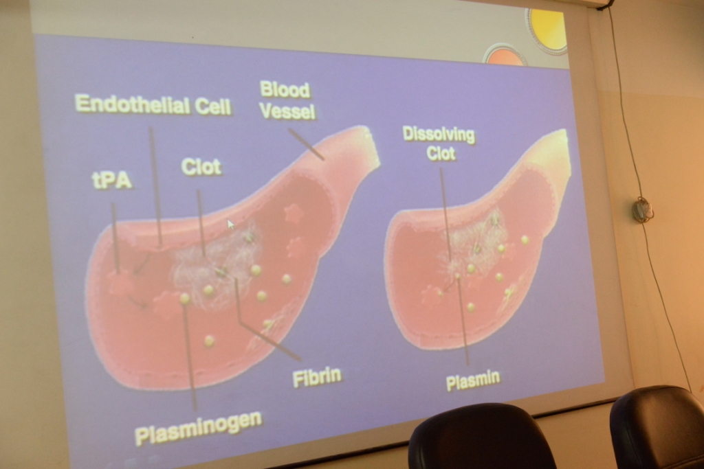 First slide