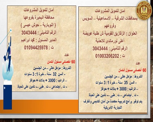 براتب يبدأ من 3000 جنيه.. القوى العاملة توفر فرص عمل في 7 محافظات