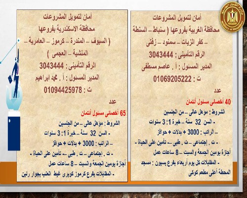 براتب يبدأ من 3000 جنيه.. القوى العاملة توفر فرص عمل في 7 محافظات