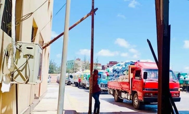 نور الدين: حصاد 10 ألاف فدان قمح وتوريد 1227 طن للصوامع والشون