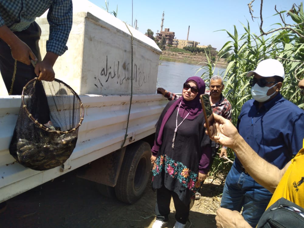 القاء الزريعة