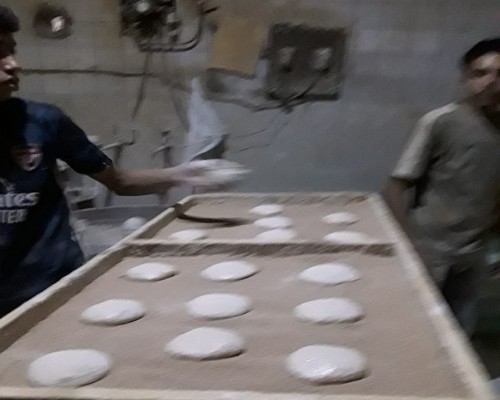 المهندسة منال احسان وكيل التموين بالقليوبية 