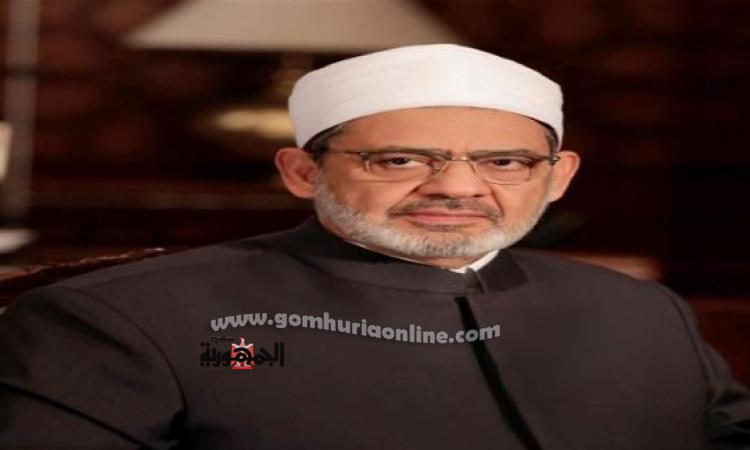 مجلس حكماء المسلمين يشيد بدور مصر التاريخي في دعم القضية الفلسطينية