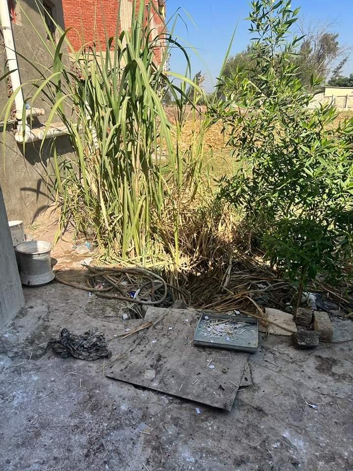 صحة القليوبية تضبط حلوى غير صالحة في مصنع بدون ترخيص بكفر شكر