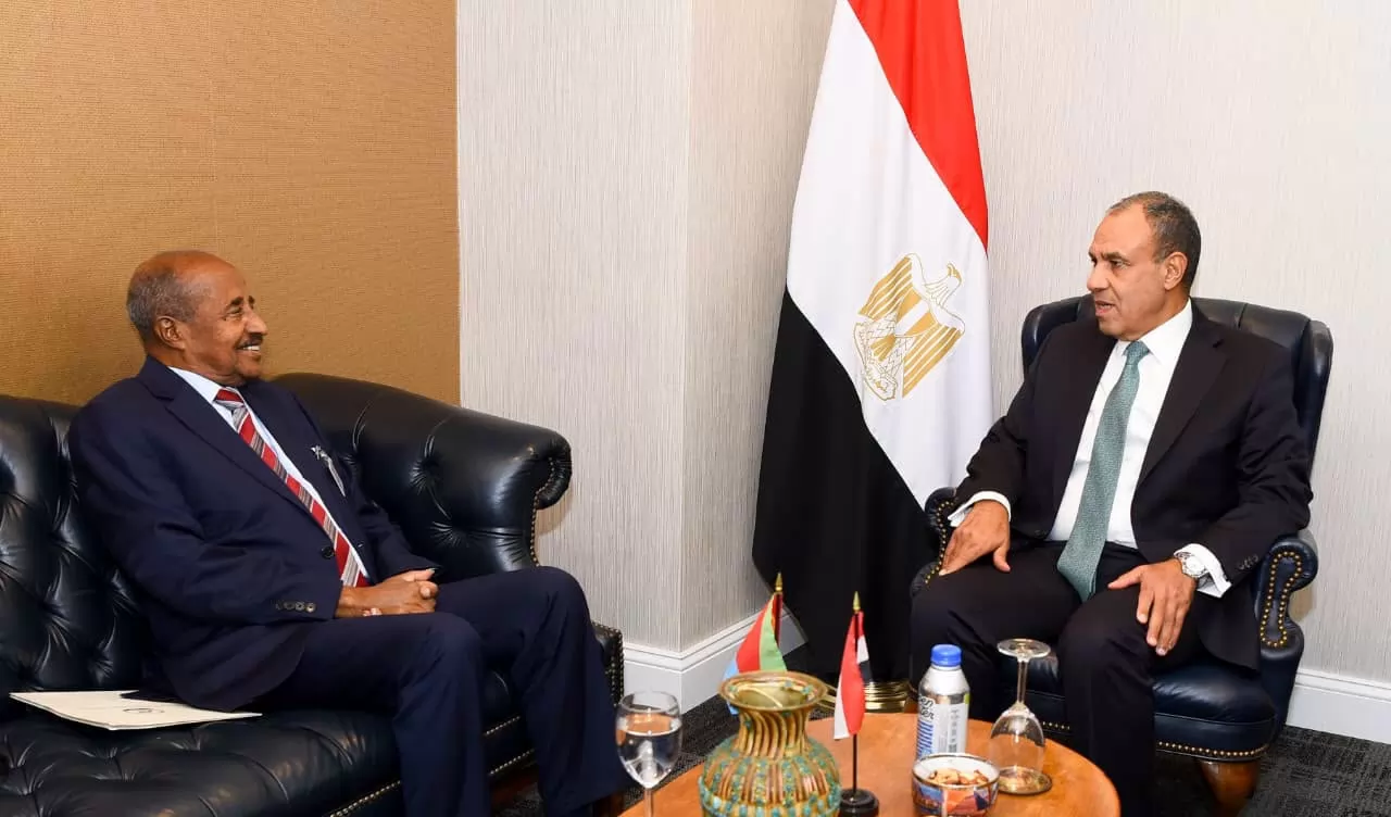 وزير الخارجية بدر عبدالعاطي ونظيره الإريتري